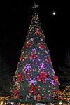 arbre de Noël